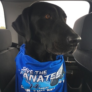 Fundraising Page: Jessica Roshek